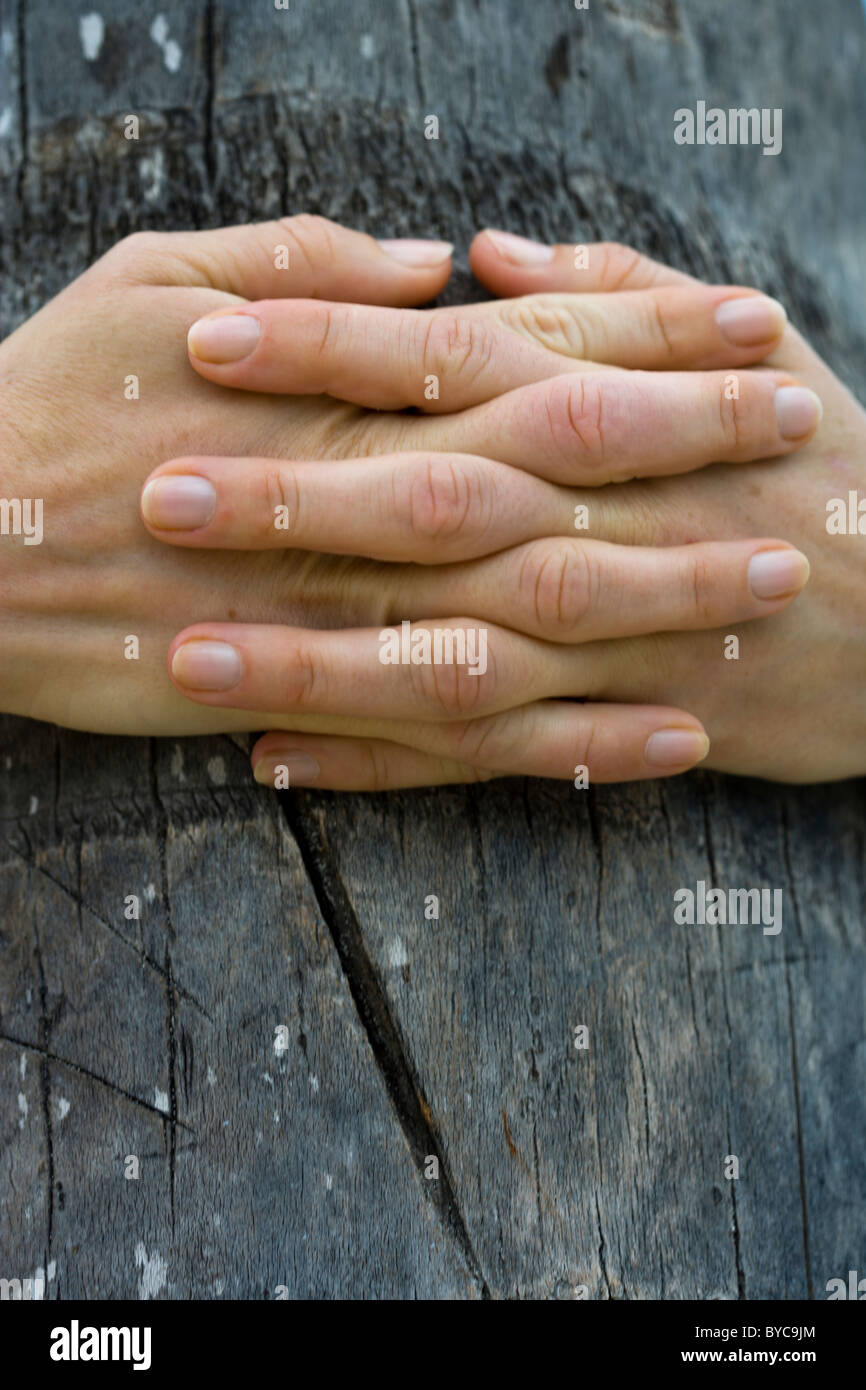 SELECTIVE FOCUS IMAGE OF A WOMANS HANDS HUGGING A PALM TREE Stock Photo
