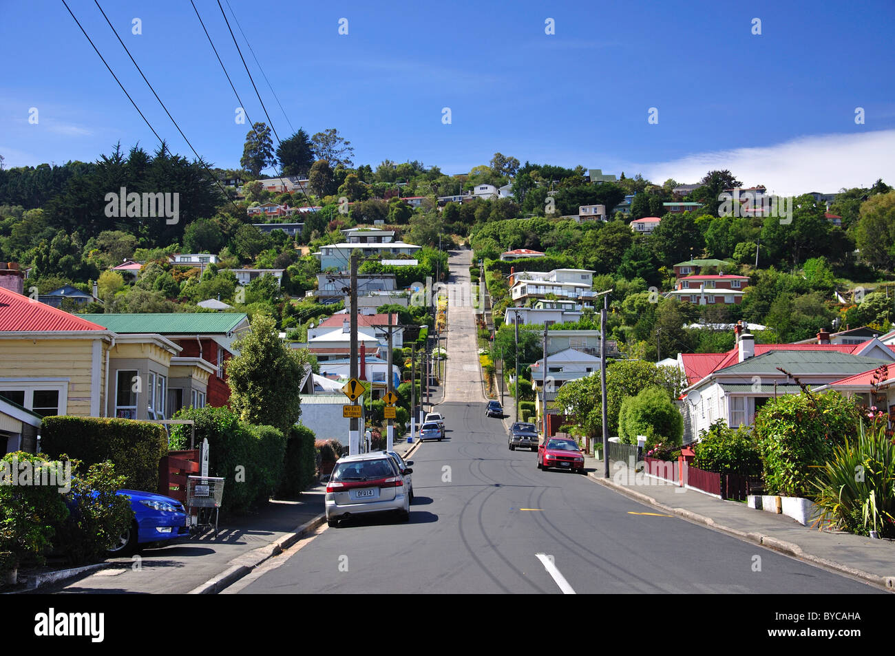 Baldwin Street (world's steepest street), North East Valley, Dunedin, Otago, South Island, New Zealand Stock Photo