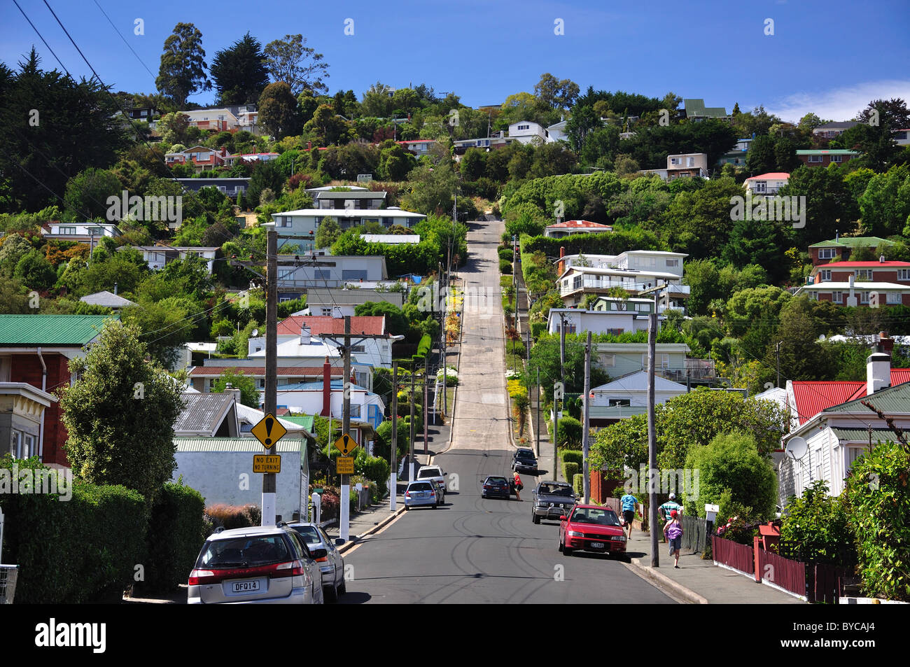 Baldwin Street (world's steepest street), North East Valley, Dunedin, Otago, South Island, New Zealand Stock Photo