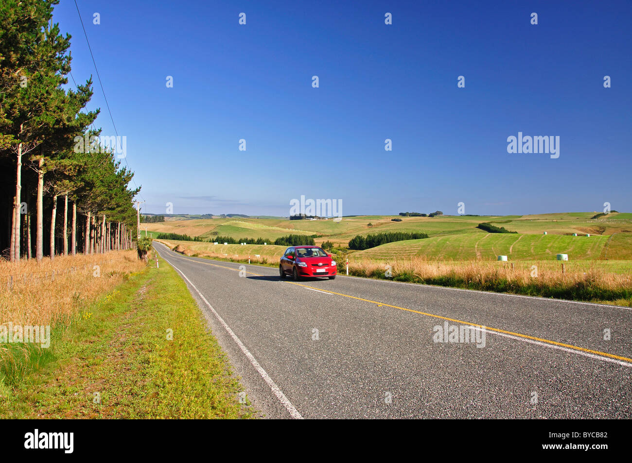 Car driving on Southern Scenic Route through The Catlins, Southland, South Island, New Zealand Stock Photo