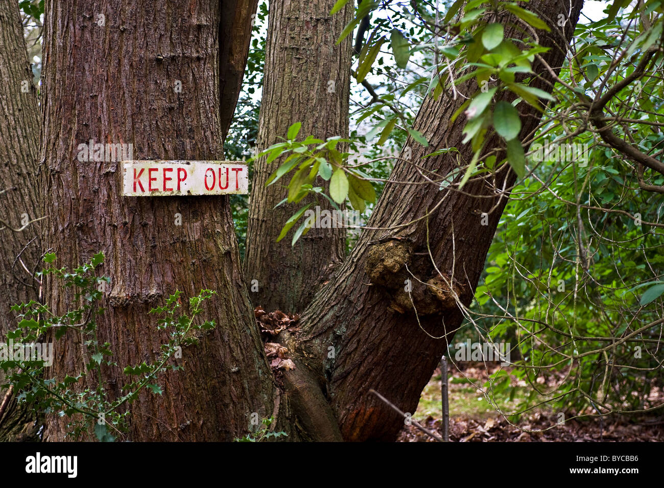 Treehousekeep Out Sign A keep out sign on a tree at Norsey Woods in Essex. Photograph by ...