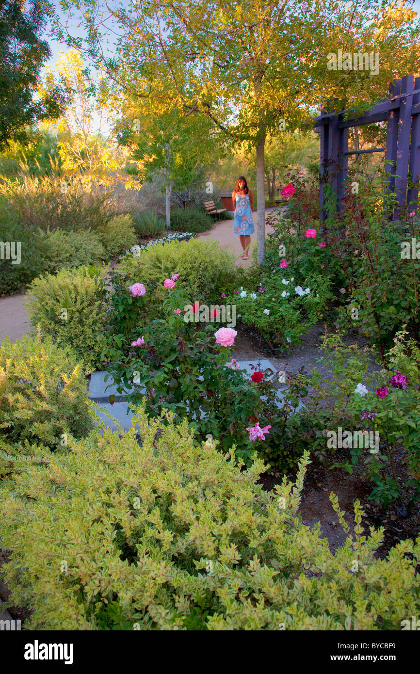 Garden las vegas springs preserve hires stock photography and images