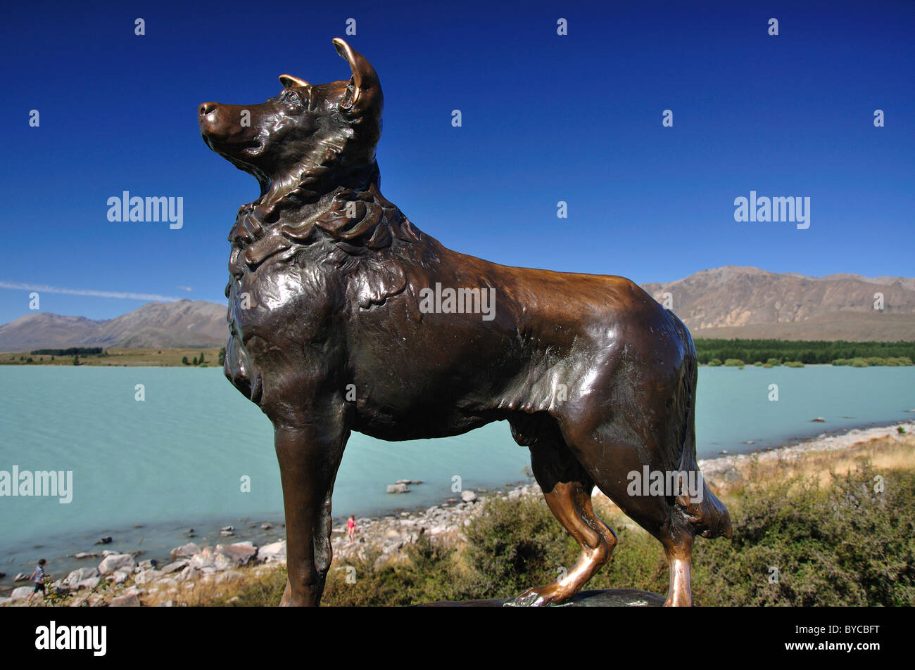 New Zealand Collie sheepdog statue, Lake Tekapo, Mackenzie District, Canterbury, South Island, New Zealand Stock Photo