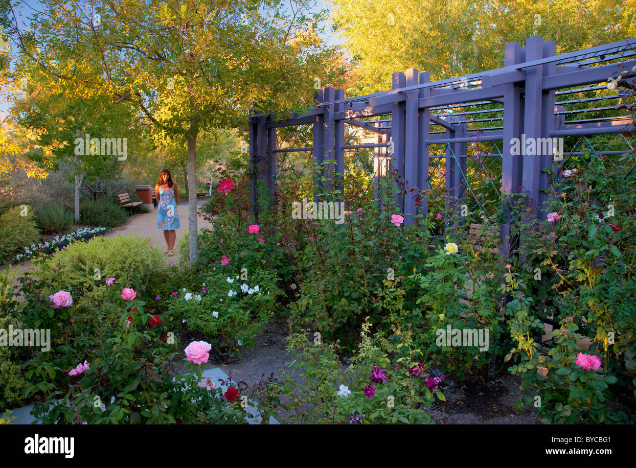 The gardens at springs preserve hires stock photography and images Alamy