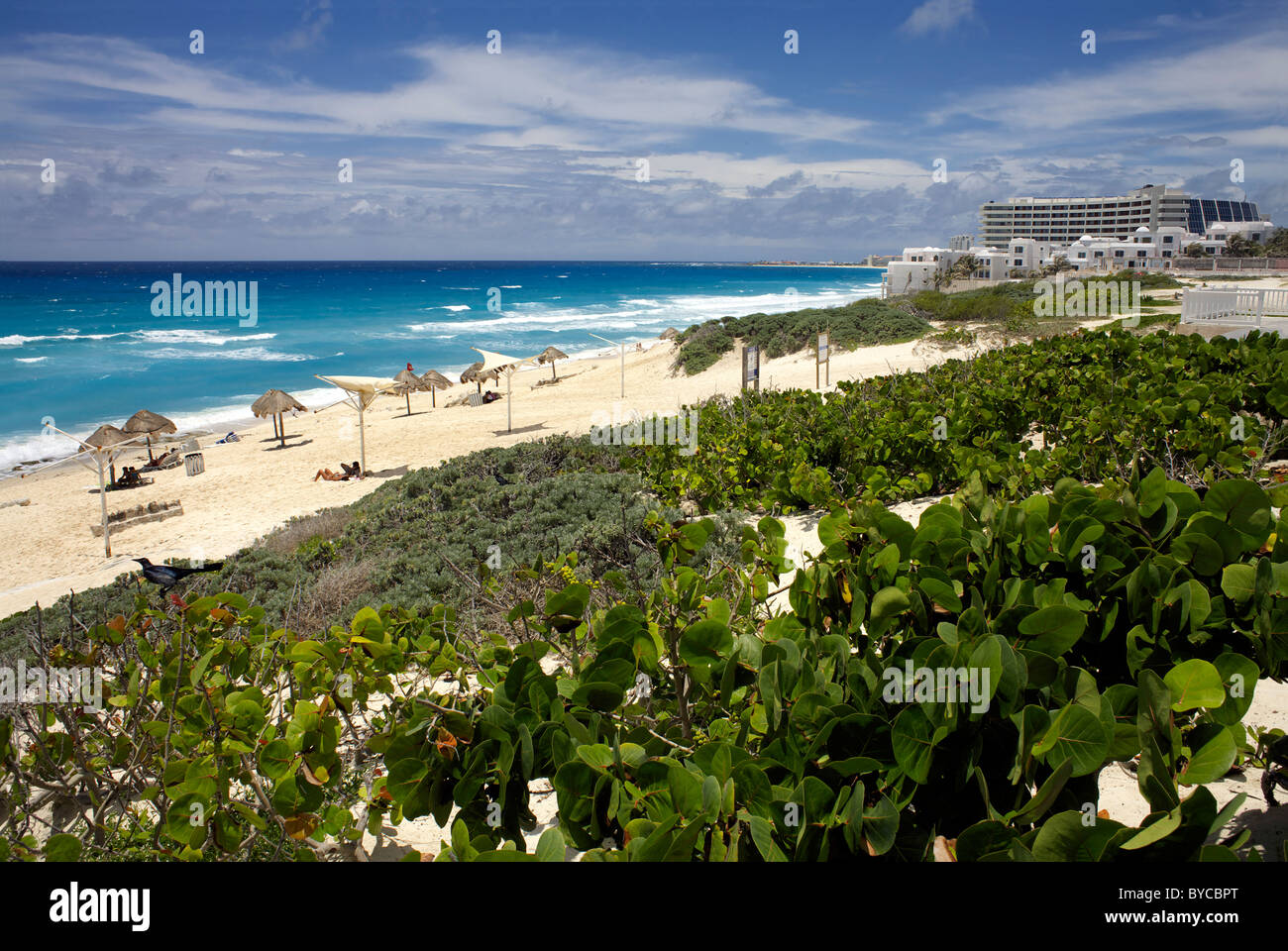 The beach at Cancun, Riviera Maya, Quintana Roo, Yucatán Peninsula