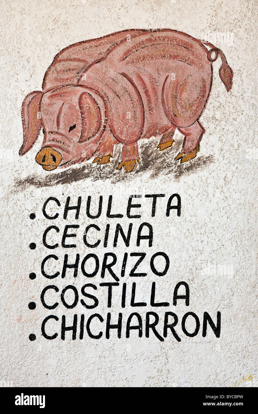 whimsical hand painted sign painting on wall of Mexican butcher shop depicting pink curly tailed pig & advertising pork products with street art Stock Photo