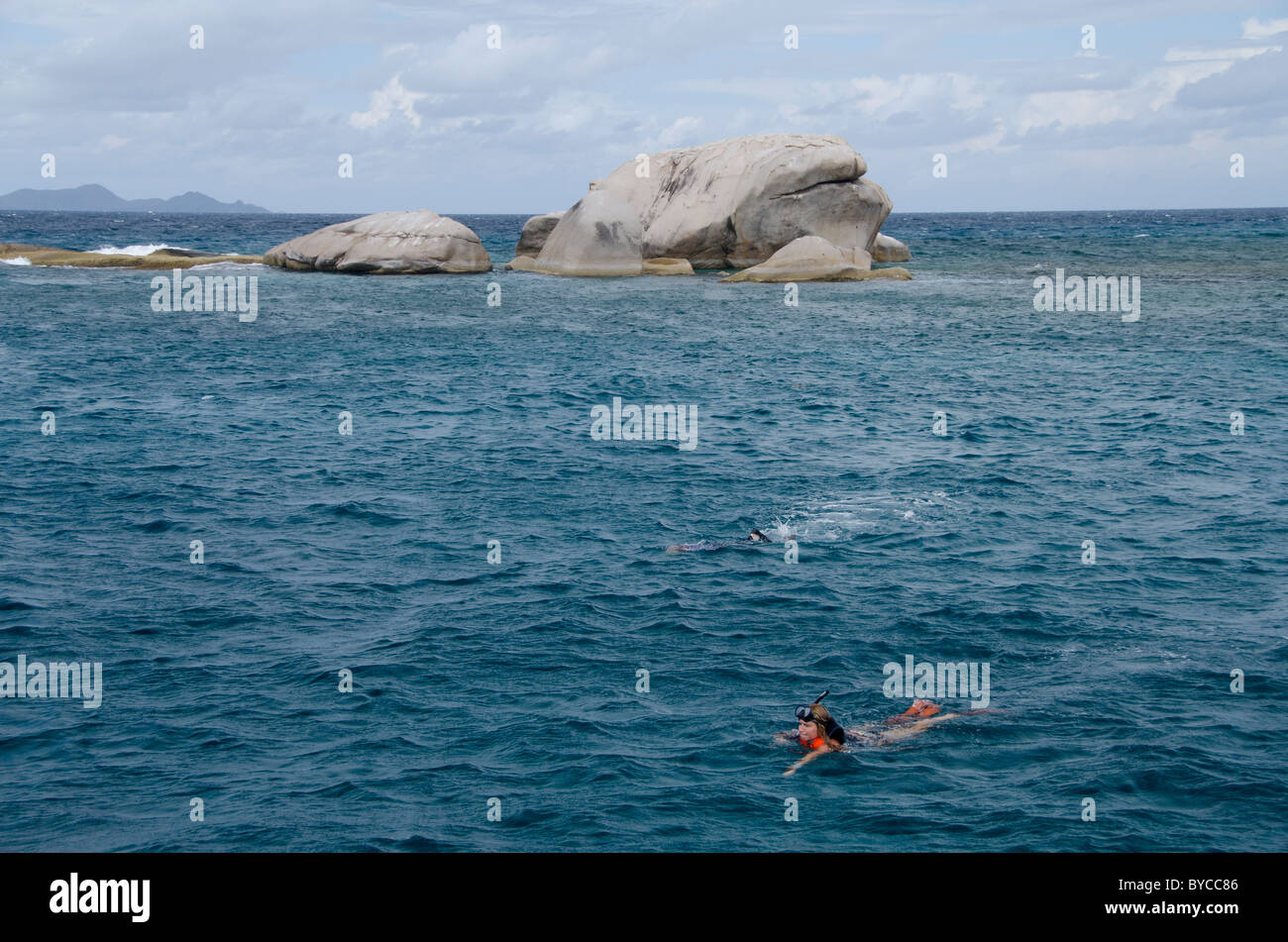 Indian Ocean, Seychelles, Coco Island. Snorkeling along the coast of
