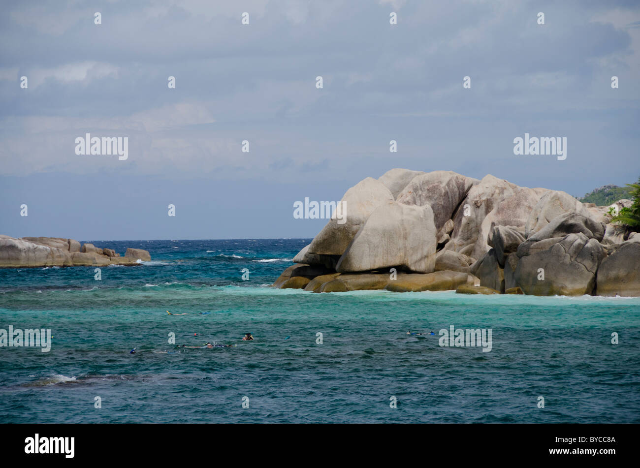 Indian Ocean, Seychelles, Coco Island. Snorkeling along the coast of