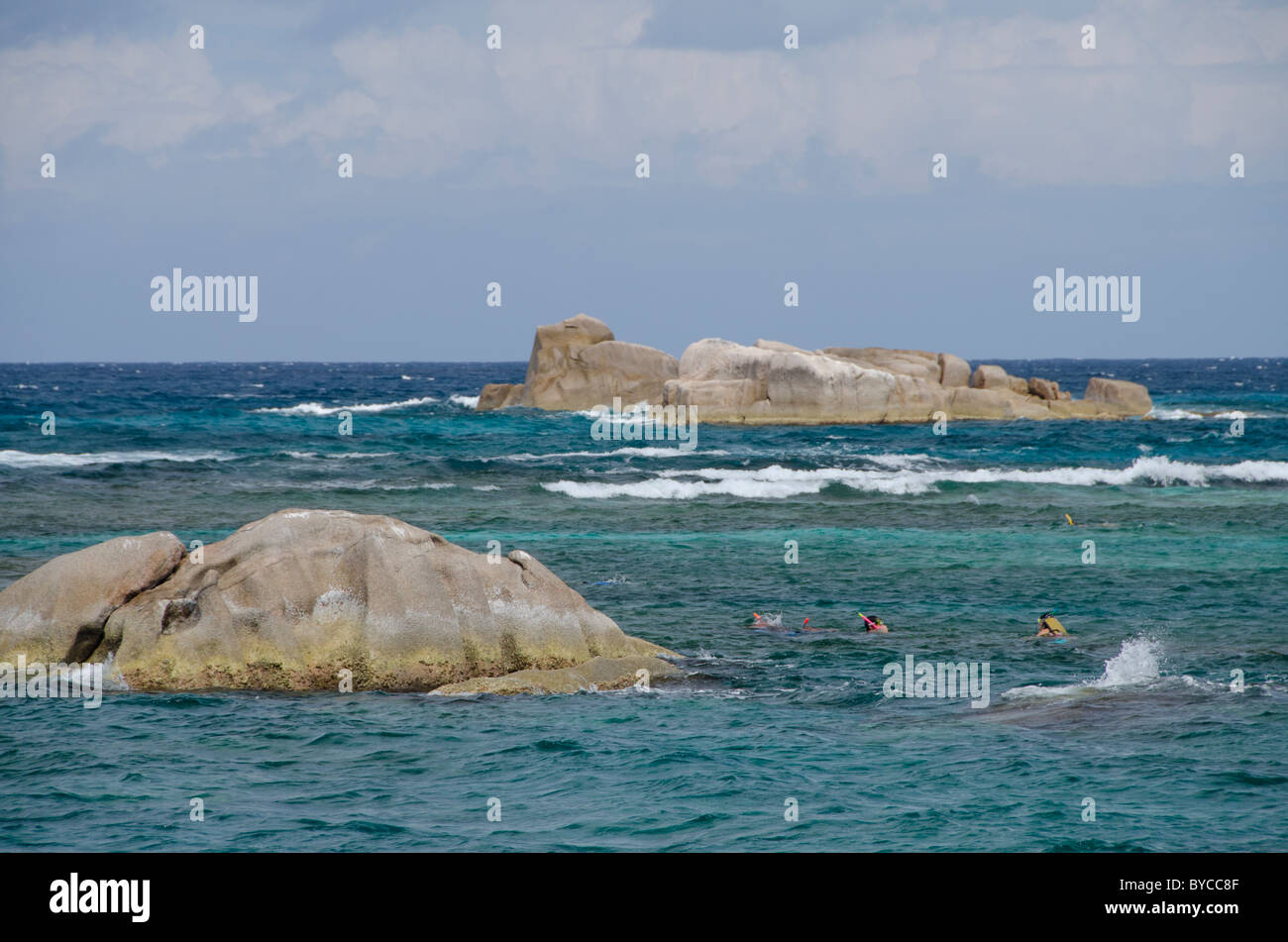 Indian Ocean, Seychelles, Coco Island. Snorkeling along the coast of
