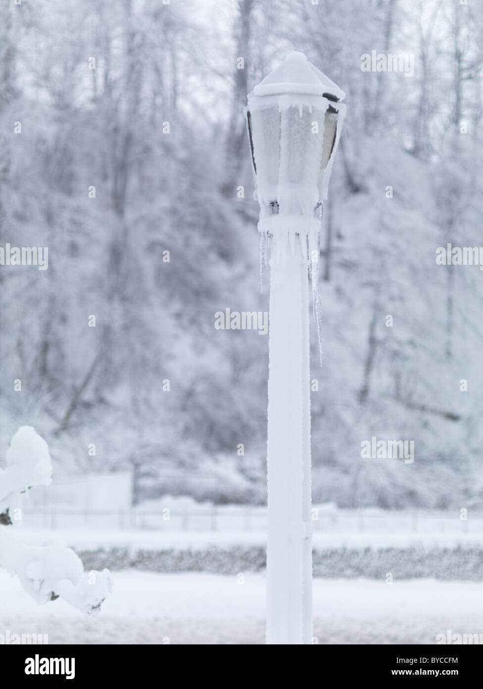 Frozen lamp post in a snow covered city. Niagara Falls, Ontario, Canada. Stock Photo