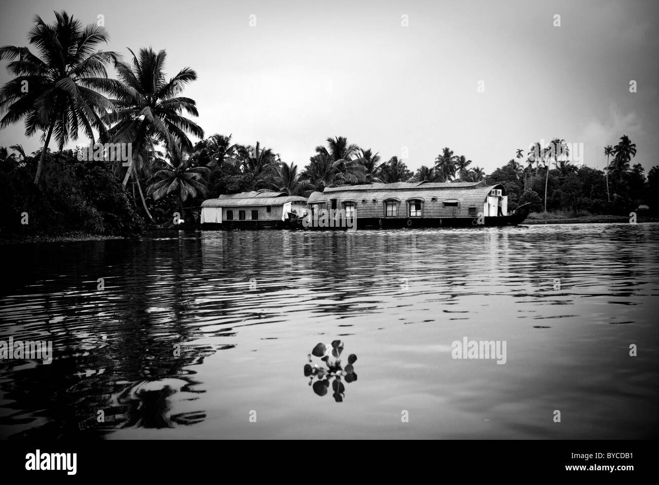 Traditional houseboats lay anchored on the backwaters near Alappuzha (a.k.a. Alleppey) in Kerala, India. Stock Photo