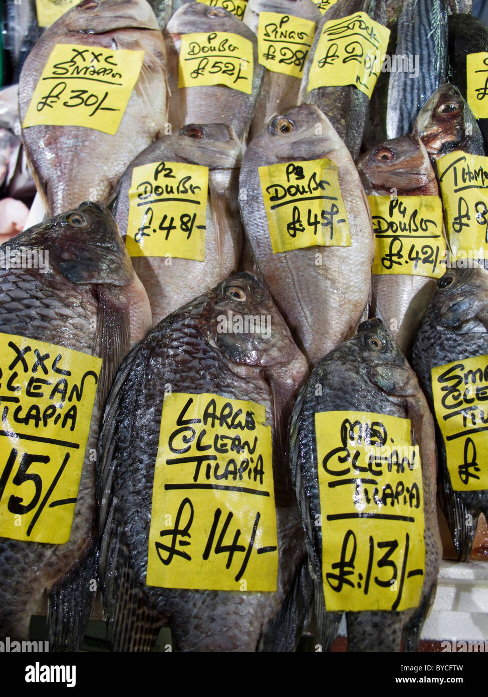 Counter fishmonger large fishes tilapia prices london uk hires stock