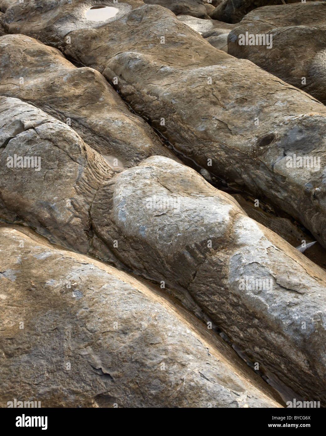 Jurassic geology hi-res stock photography and images - Alamy