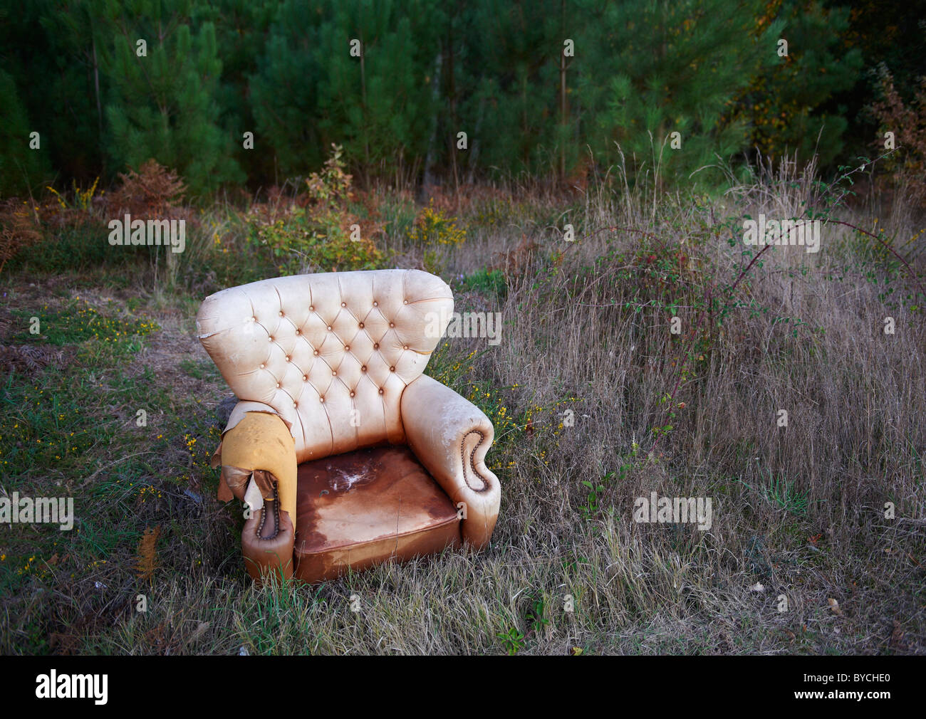 Abandoned armchair in the middle of a field in the forest Stock Photo