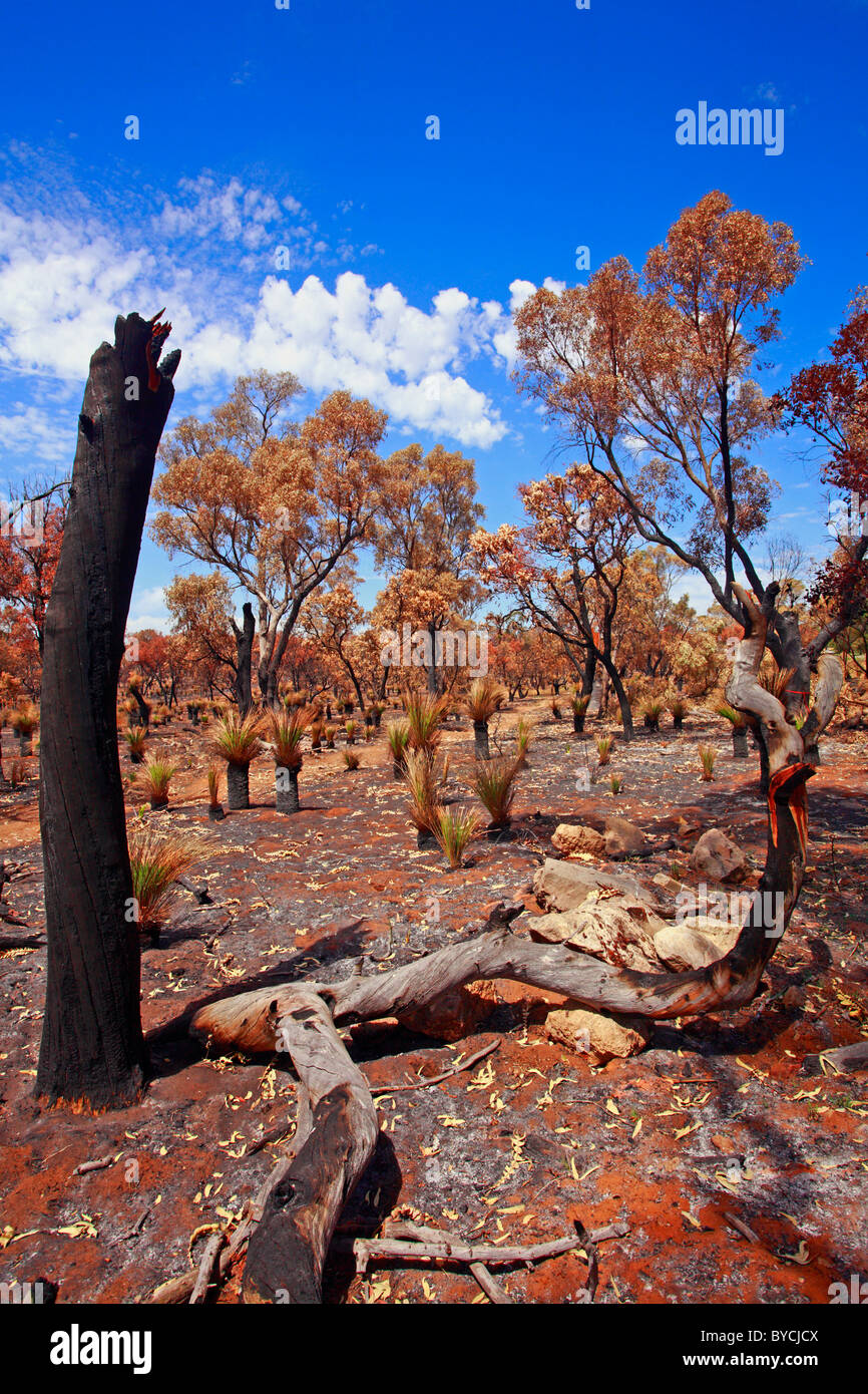 Bush Fire Aftermath Kwinana Perth Western Australia Stock Photo