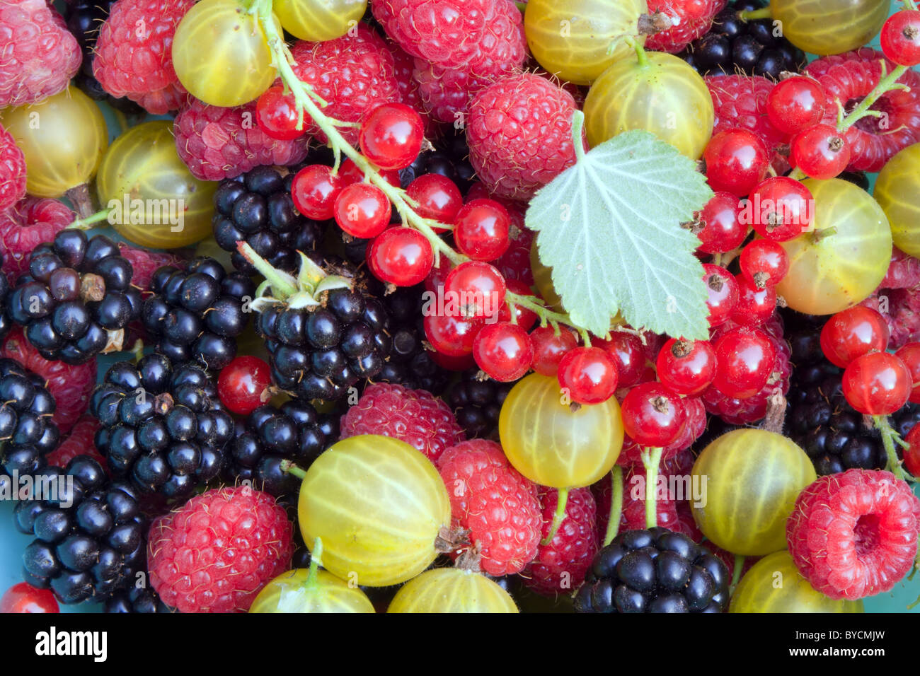 garden fruits Stock Photo