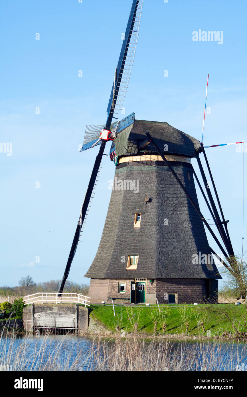 Dutch windmill in Kinderdijk Stock Photo