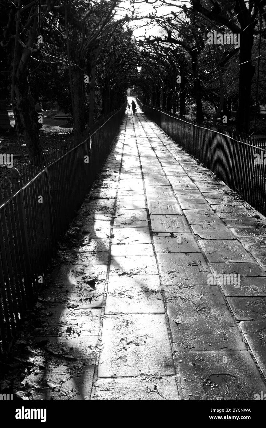 Birdcage Walk, Clifton, Bristol. one woman walking with child Stock Photo