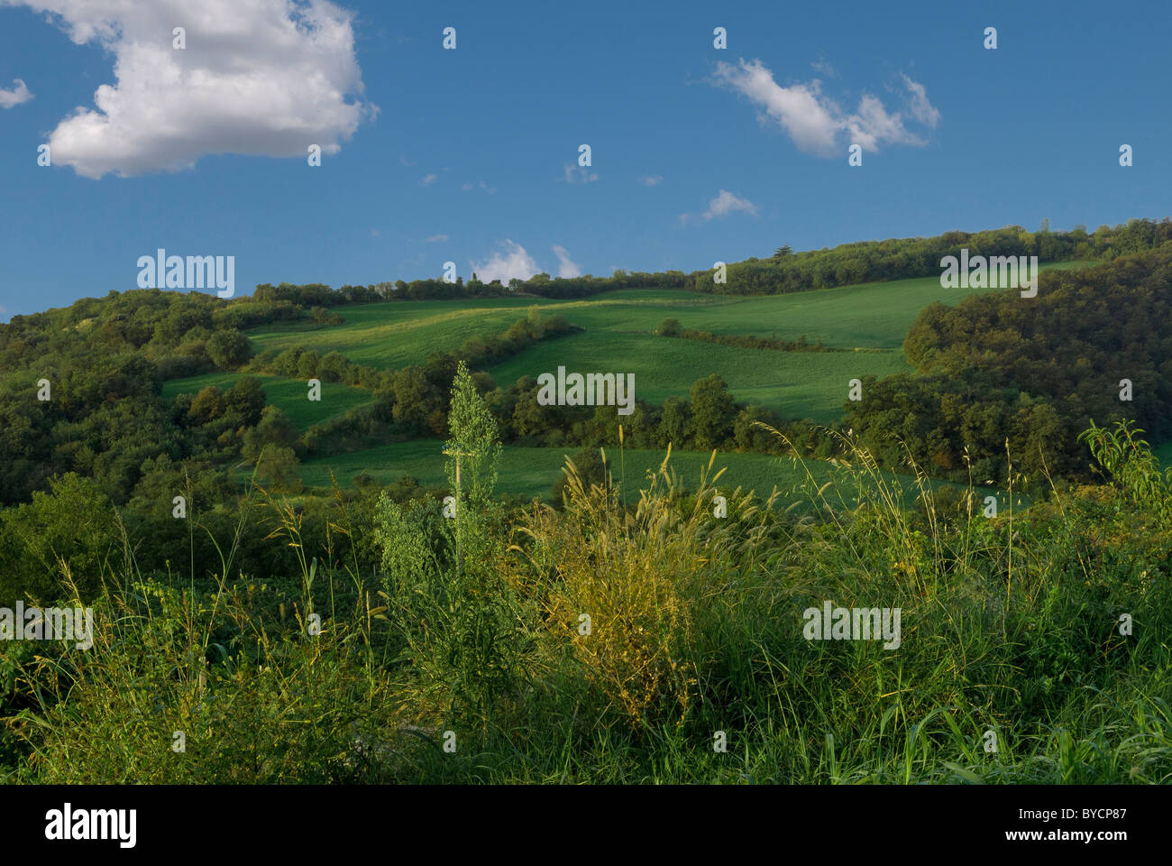 Garda, Morainic hills, Italy, landscape Stock Photo - Alamy