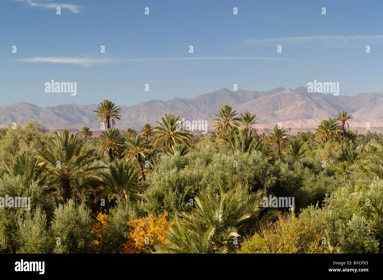 View of High Atlas mountains and the Skoura oasis Palm tree grove from Kasbah Ben Moro Morocco Stock Photo