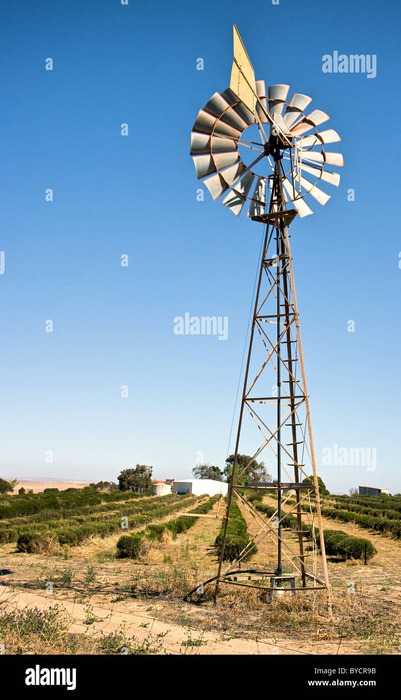 Wind pump used for irrigating crops in Western Australia Stock Photo