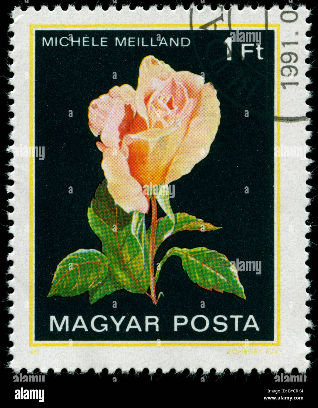 Stamp from Hungary with picture of a rose Stock Photo - Alamy
