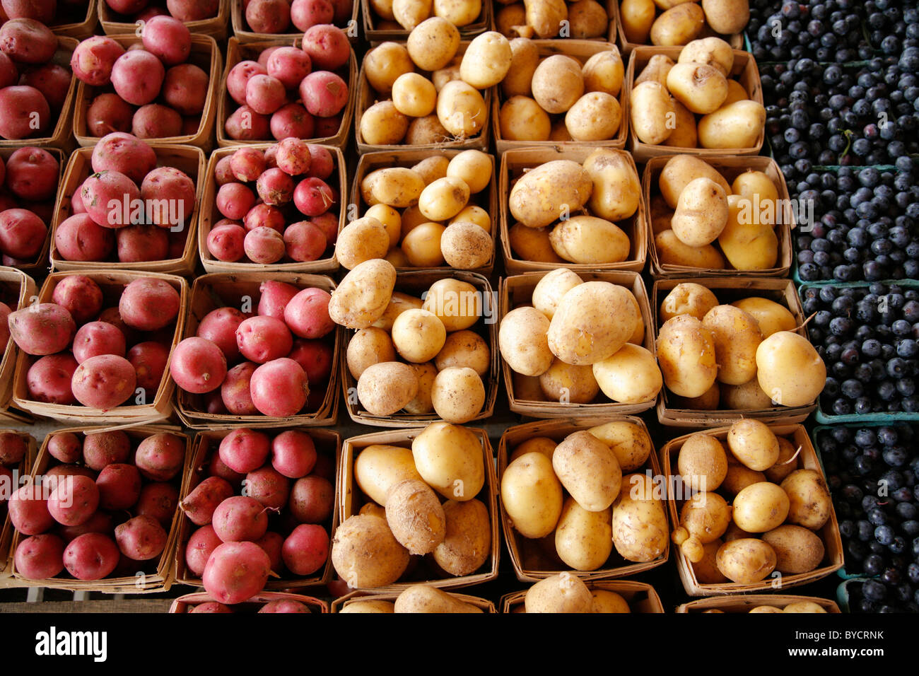 farmers market table with red and white potatoes and blueberries Stock Photo