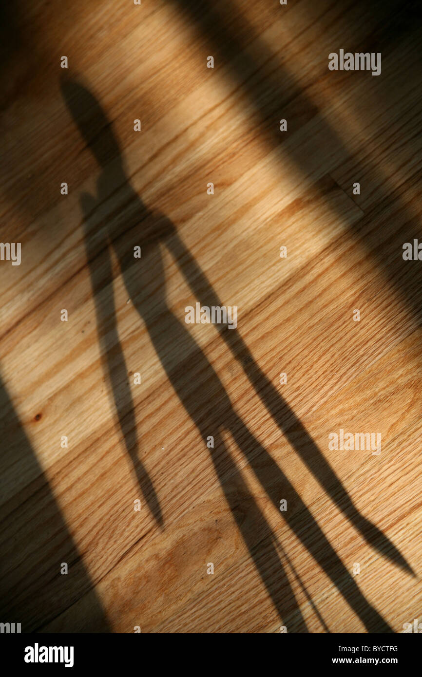 Artist mannequin shadow hi-res stock photography and images - Alamy