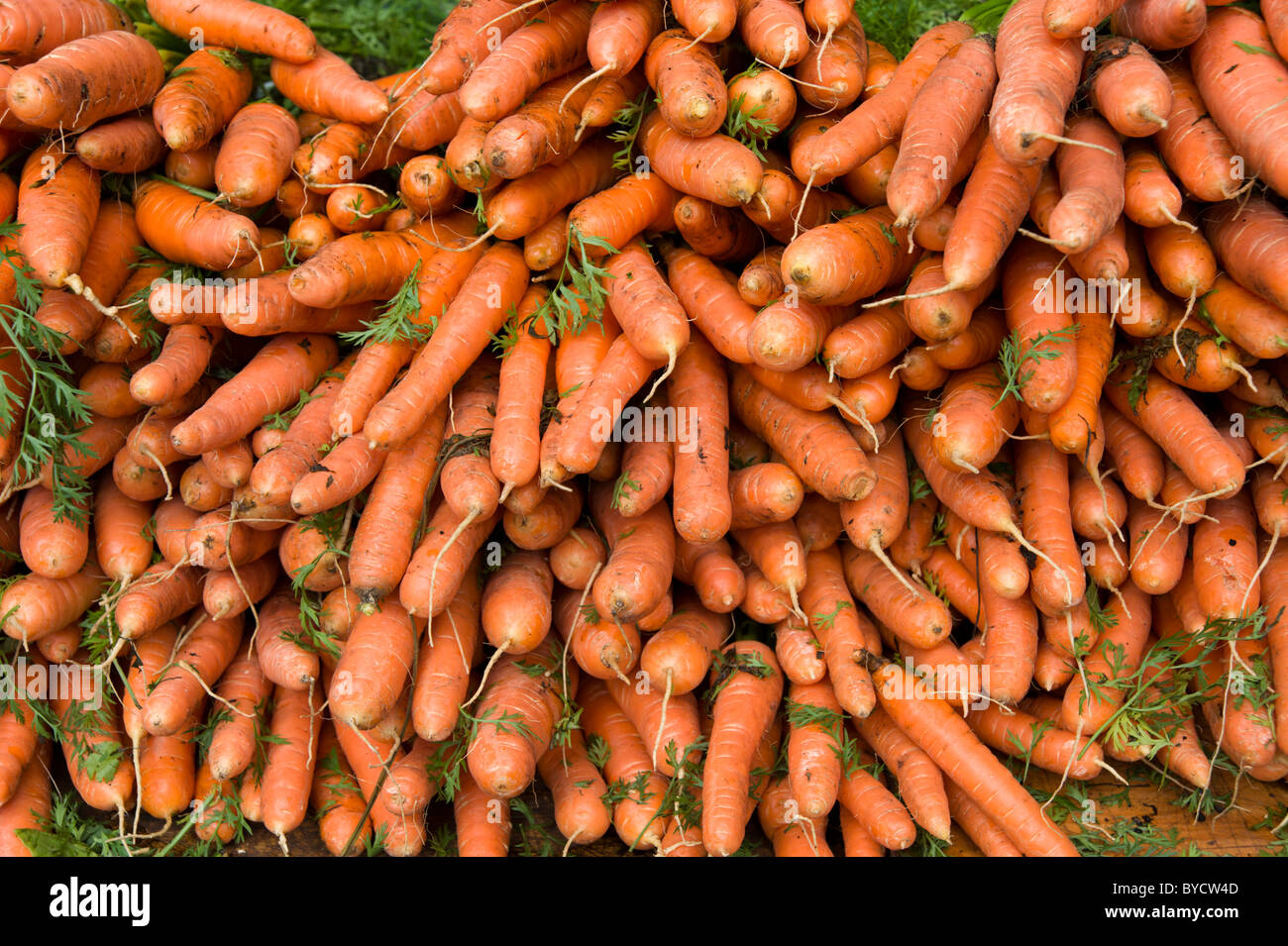 Carrots on vegetable market stall Stock Photo