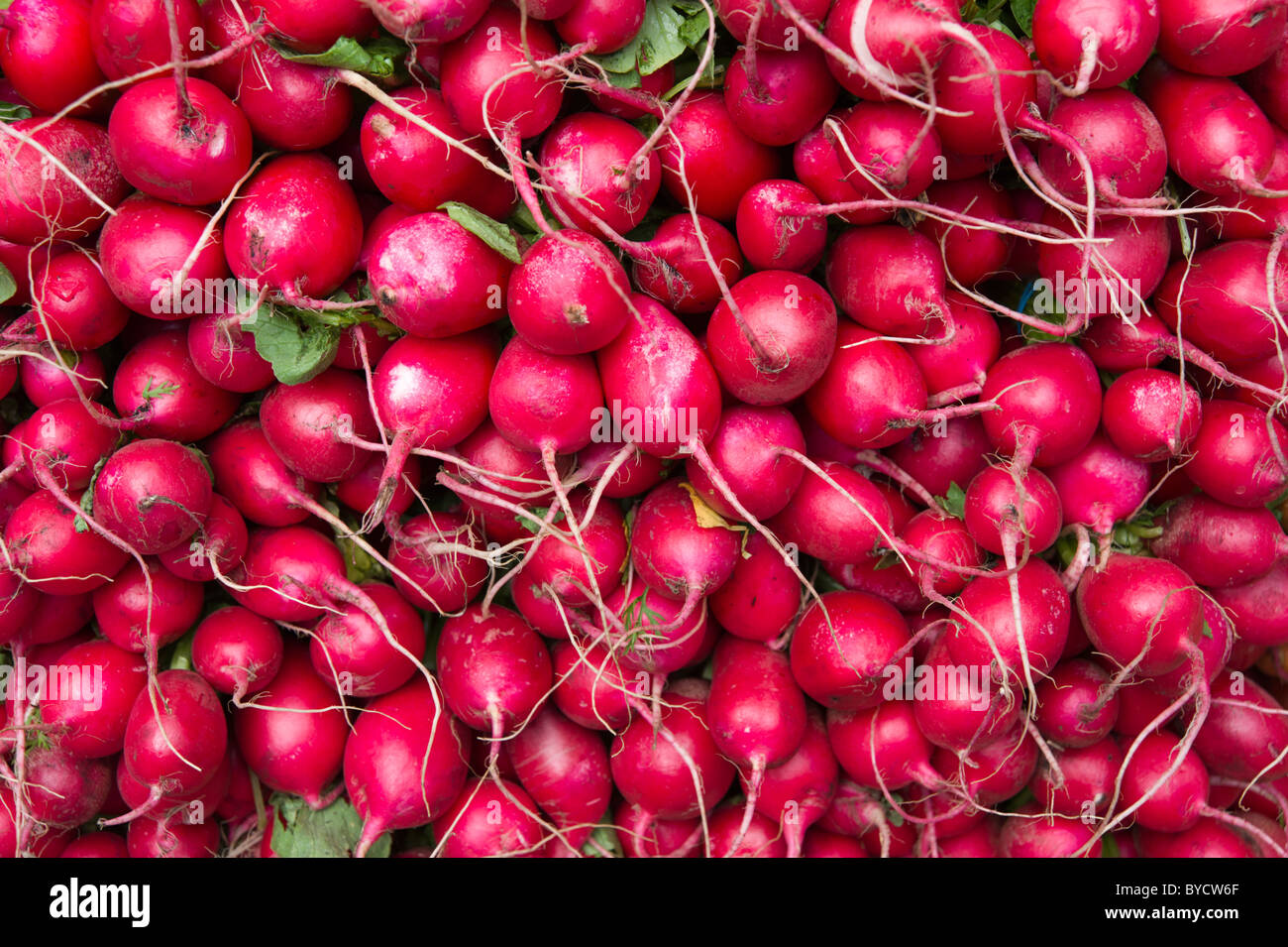 Radishes and carrots on vegetable market stall Stock Photo