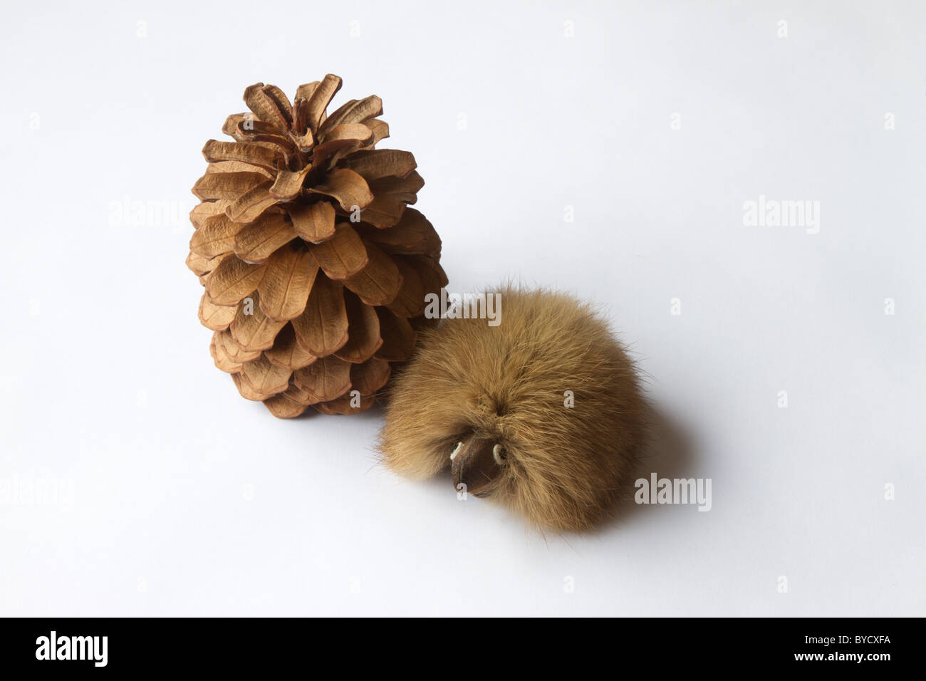 Handmade Hedgehog from cones and a plastic bottle Handmade Hedgehog from cones and a plastic bottle