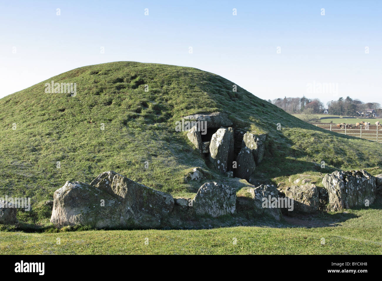The late neolithic (c2000BC) burial chamber at Bryn Celli Ddu, on the