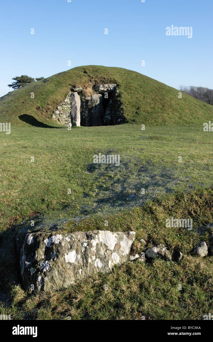 The late neolithic(c2000BC) burial chamber at Bryn Celli Ddu, on the