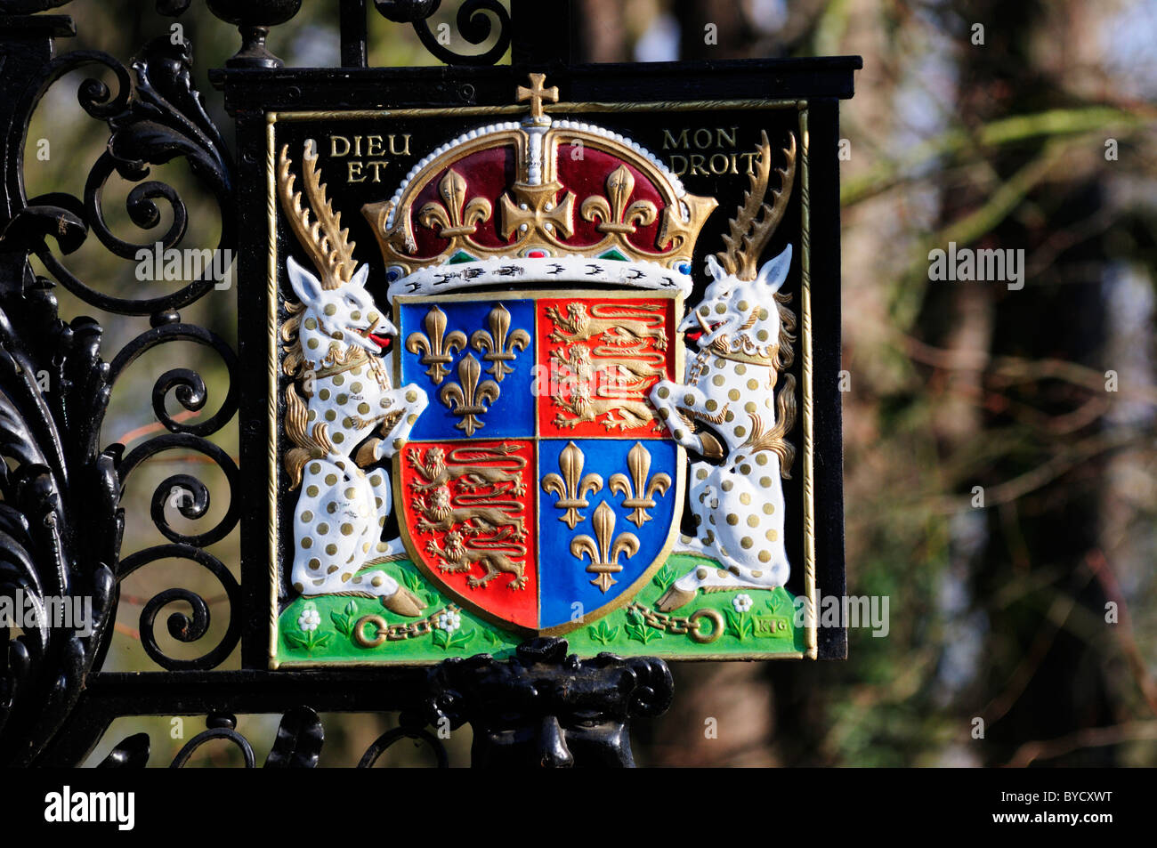 Kings College Cambridge Coat of Arms, Cambridge, England, UK Stock Photo