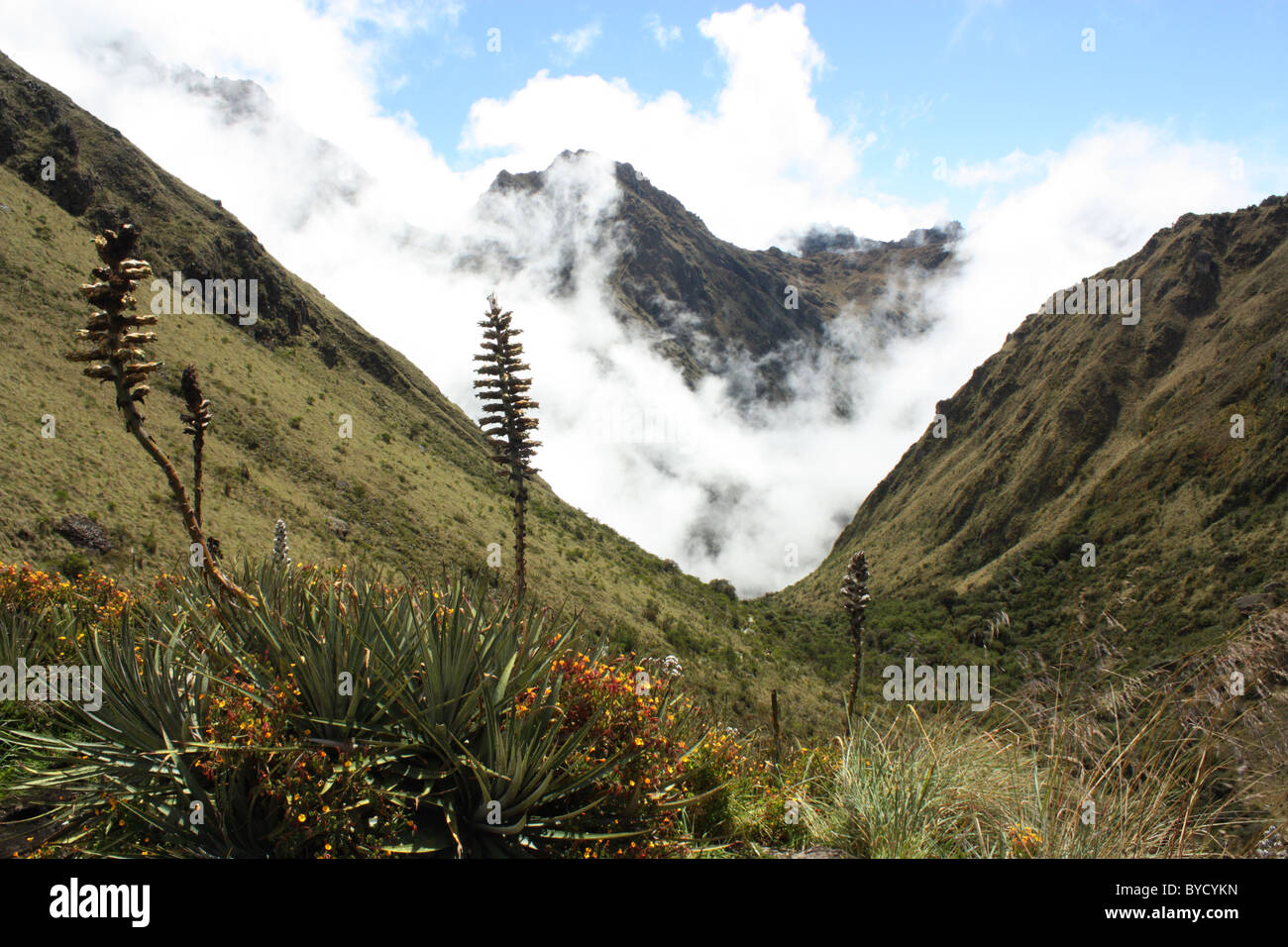 Andes Mountains in Peru Stock Photo - Alamy