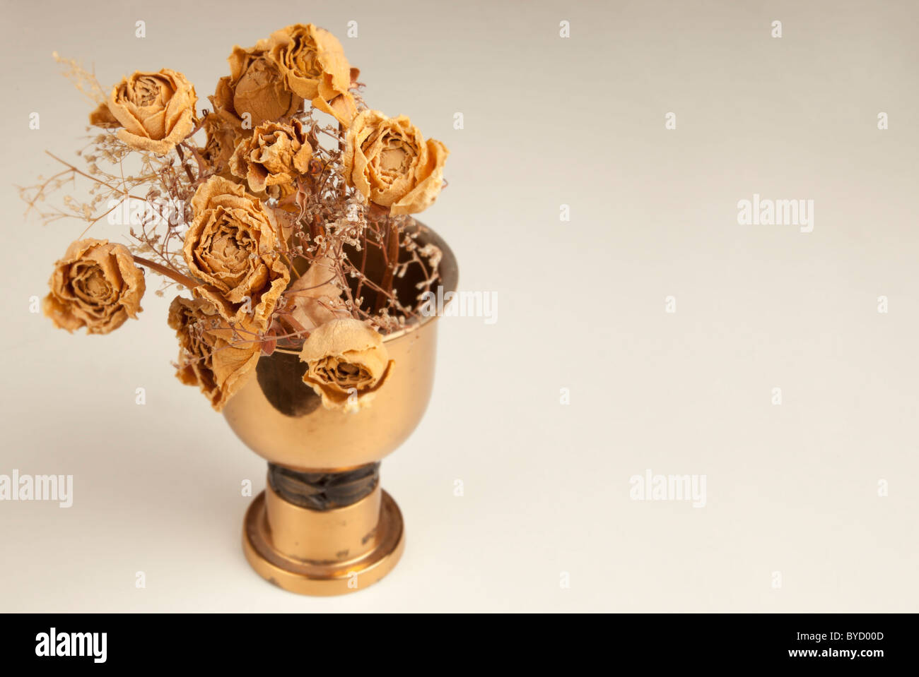 Dry roses in vase Stock Photo Alamy