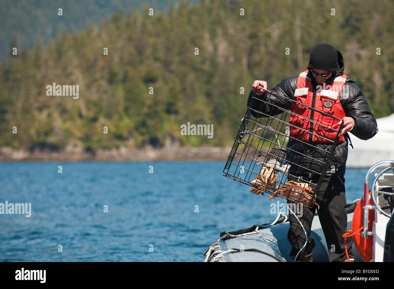 Crab fishing, Windham Bay, Chuck River Wilderness Area, Tongass National Forest, Inside Passage, Southeast Alaska. Stock Photo