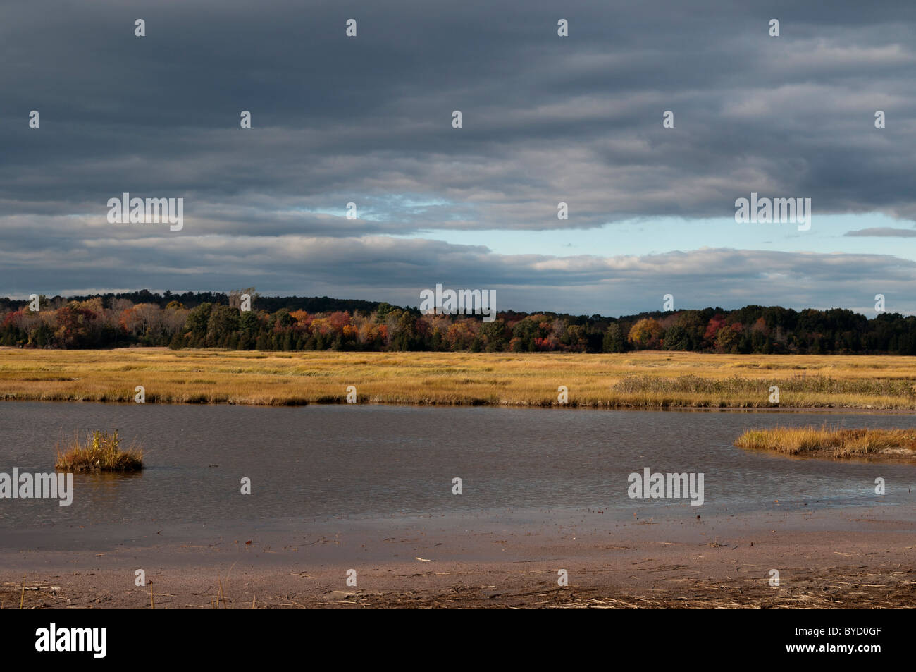 The Great Marsh, from Rowley, Massachusetts. Part of a 20,000 acre coastal wetland Stock Photo