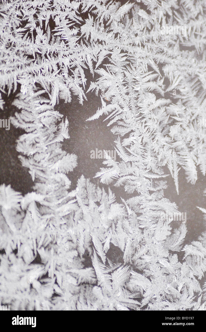 frozen ice crystals on a window Stock Photo - Alamy