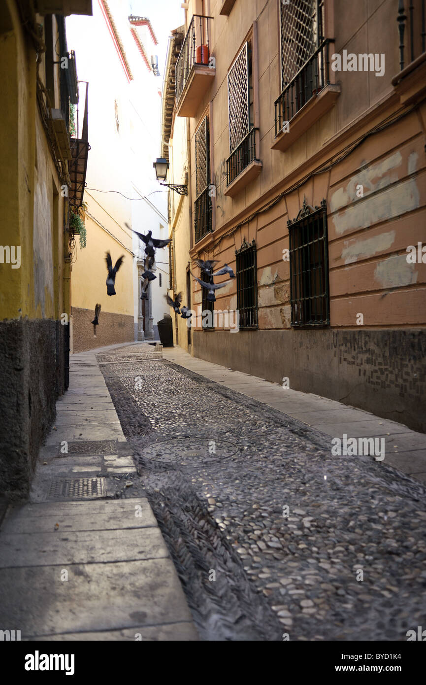 Startled pigeons in the empty streets of Granada, Spain Stock Photo