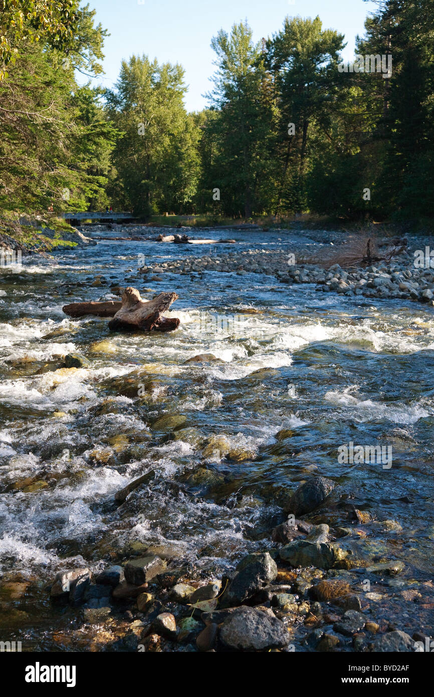 River water scene with stones and red salmon. Stock Photo