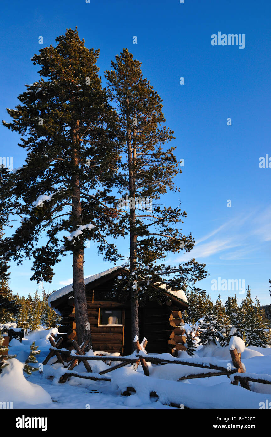 A Log Cabin Under Winter Snow Yellowstone National Park Wyoming