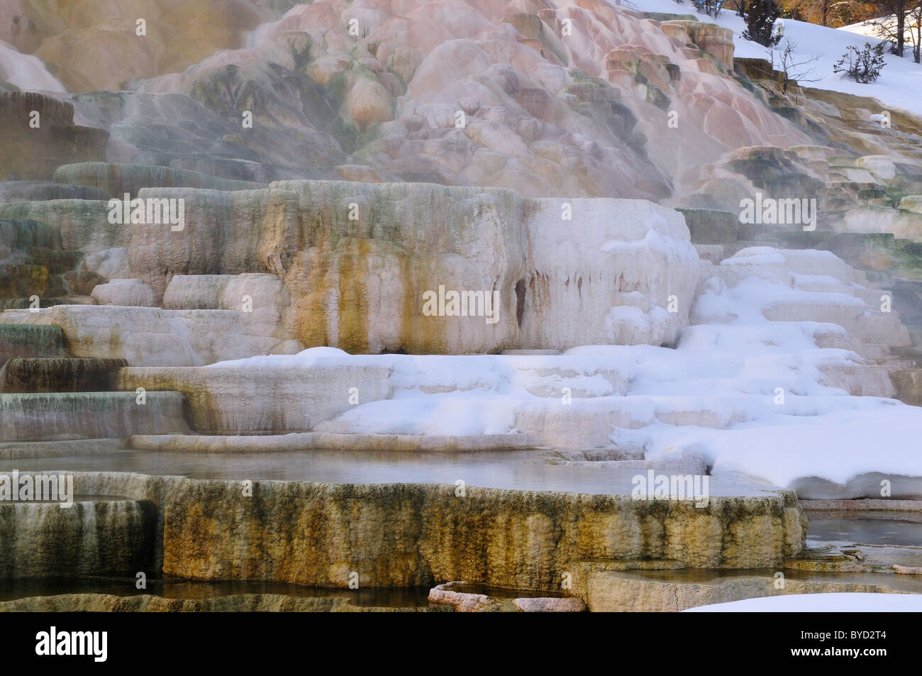 Travertine terrace at Palette Spring. Mammoth Hot Springs, Yellowstone National Park, Wyoming, USA. Stock Photo