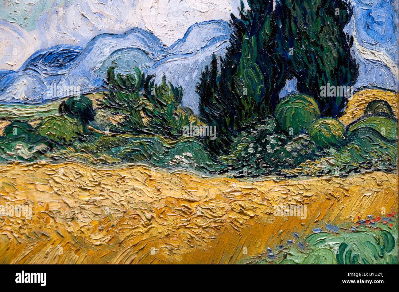 Detail Wheat Field With Cypresses 18 By Vincent Van Gogh Stock Photo Alamy