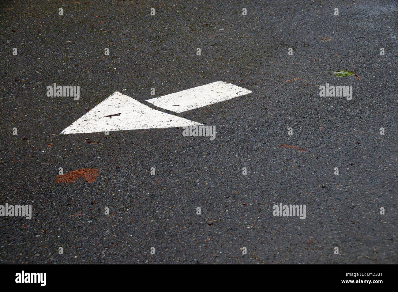 A white arrow painted on asphalt points in one direction. Stock Photo