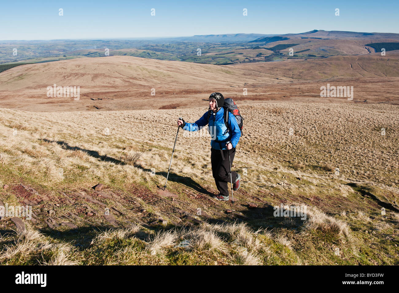 Female hiker hiking along Beacons way towards Fan Brycheiniog, Black