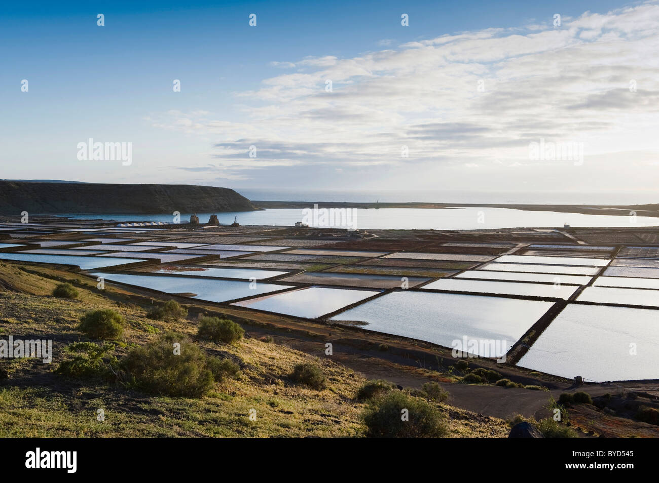 Sea salt refinery, pools of brine, Salinas de Janubio, Lanzarote, Canary Islands, Spain, Europe Stock Photo