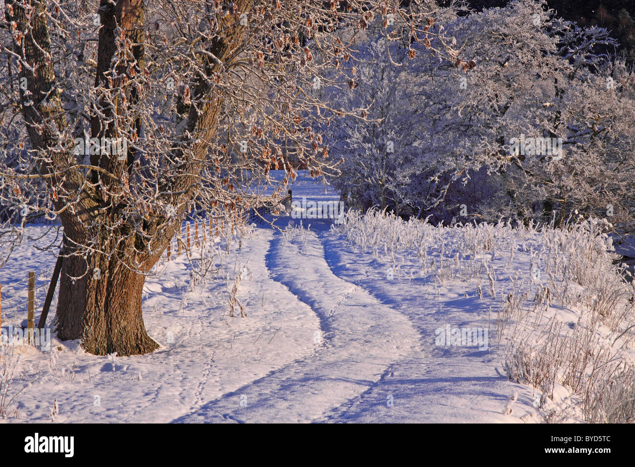 UK Scotland Tayside Perthshire Winter Scene Stock Photo