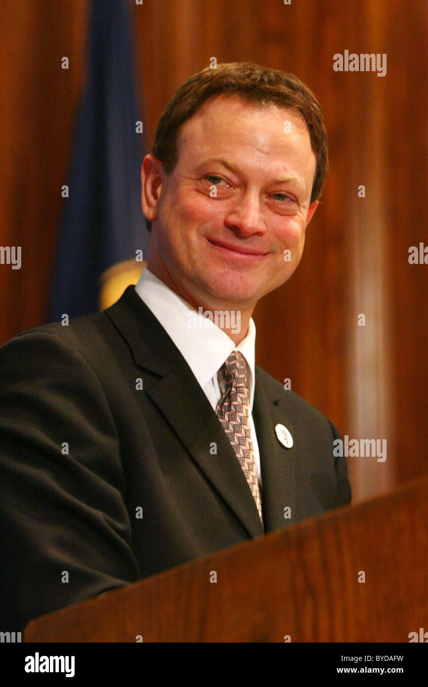 Gary Sinise Gary Sinise spoke on behalf of 'The American Veterans Disabled for Life Memorial' at the National Press Club Stock Photo