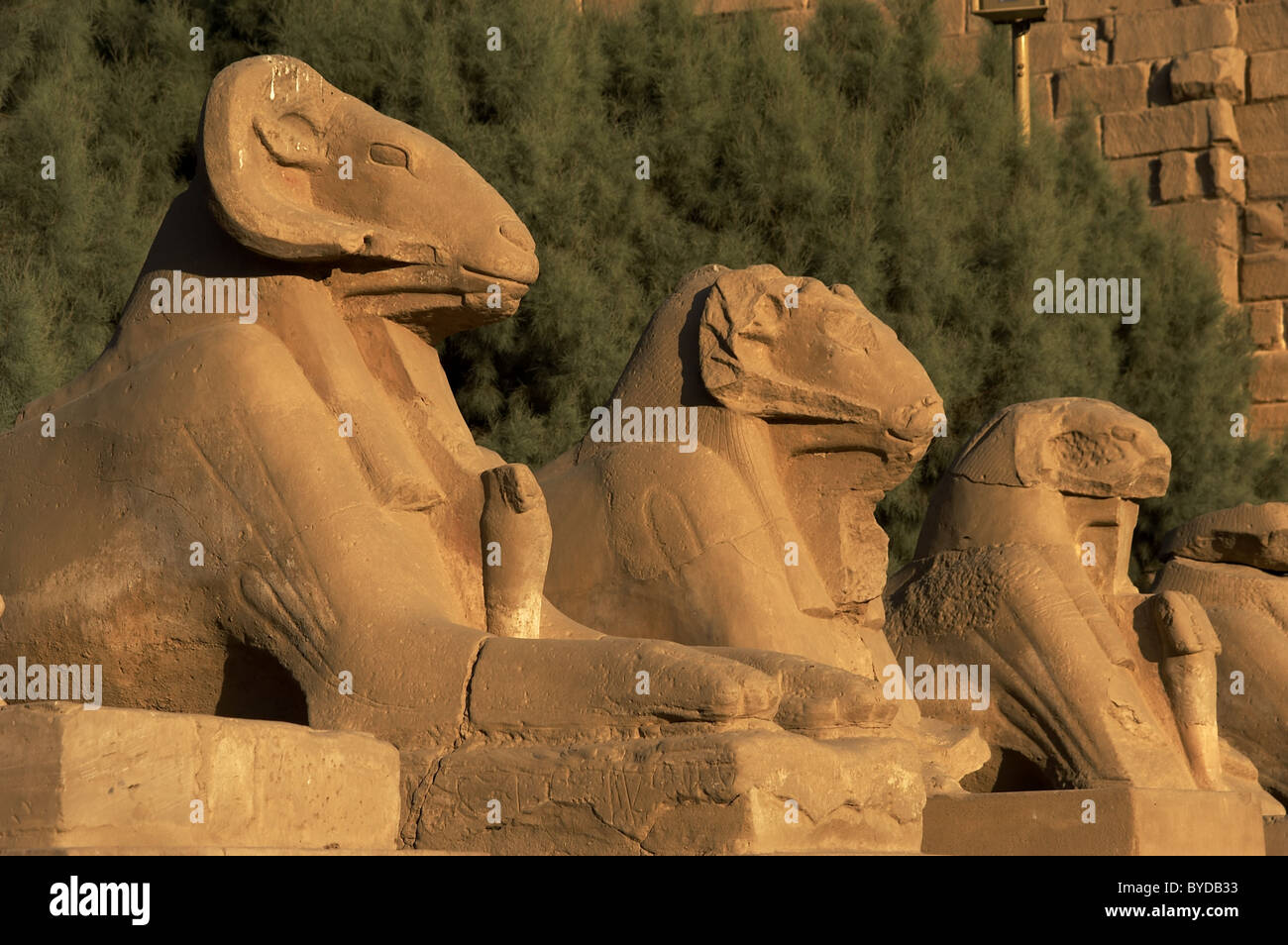 Egyptian Art. Karnak Temple. Avenue of sphinxes with ram's head. Around Luxor. Egypt. Stock Photo
